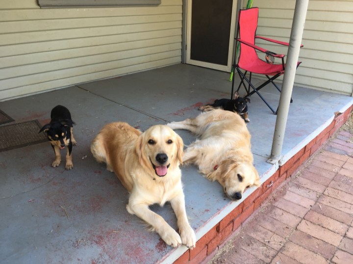 unadjustednonraw_thumb_5aa7