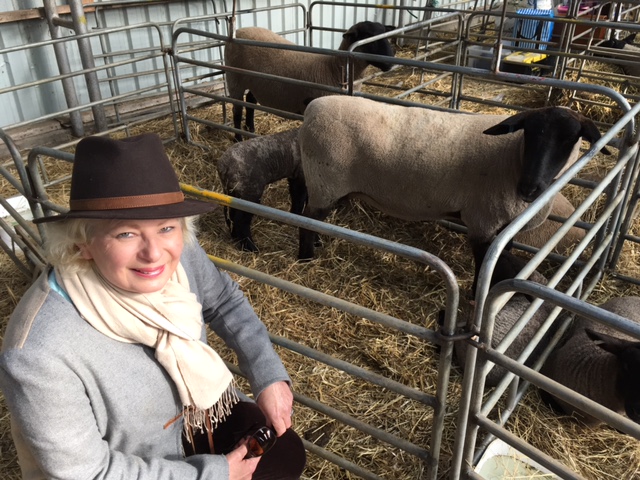 D8E74494-A529-4B14-9F99-3E70D122A0DA