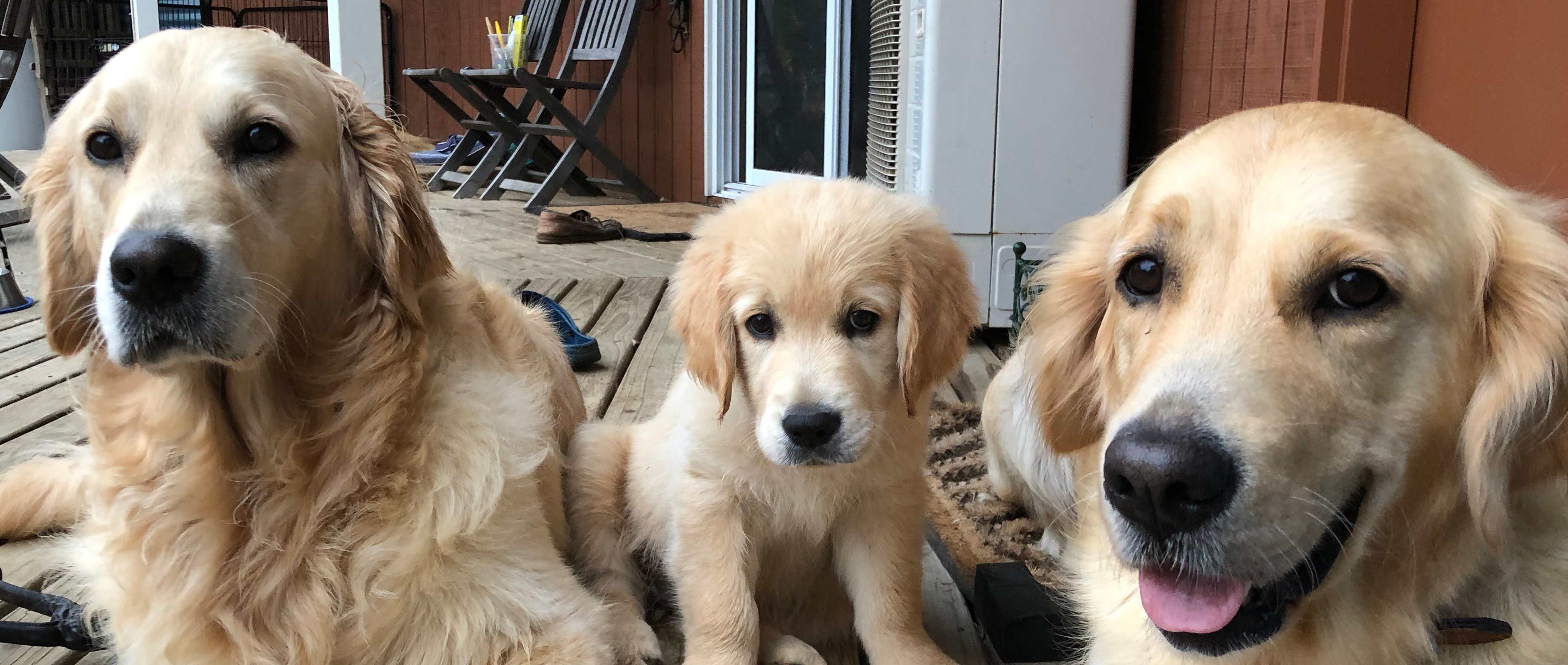 e2yi2SiwQFa2HSO0G7huWw